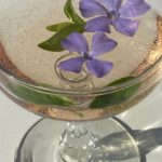 Minors - Glass with cocktail with flowing flowers of Vinca minor
